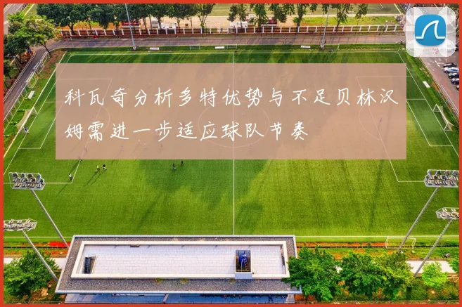 科瓦奇分析多特优势与不足贝林汉姆需进一步适应球队节奏