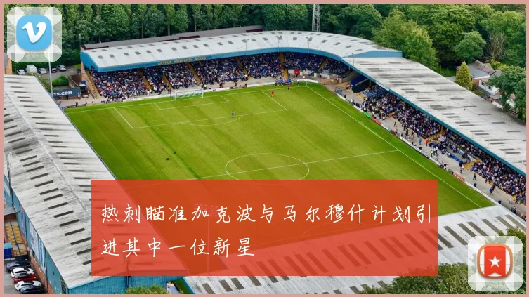 热刺瞄准加克波与马尔穆什计划引进其中一位新星