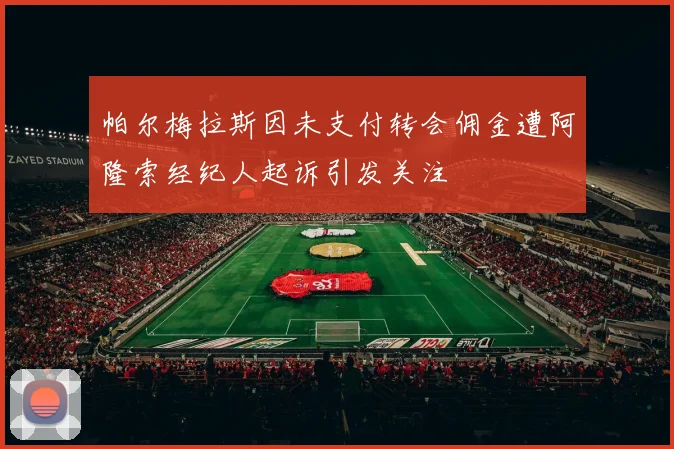 帕尔梅拉斯因未支付转会佣金遭阿隆索经纪人起诉引发关注